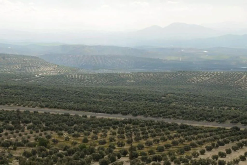 Maison Clemence Cabra del Santo Cristo Holiday home